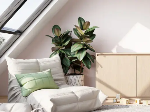 12mont_ad_images6__1200x550